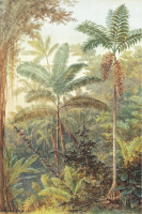 [AAC02 FOREST07 120X180] FOREST07 - Artwork - L120 x H180